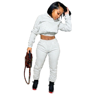 Two Piece Set Women Fall Clothes Tracksuit Crop Hoodies Joggers Sweat Suit Lounge Wear Outfits 2 Pcs Matching Sets Wholesale