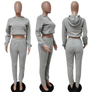 hirigin Sporty 2 Piece Set Hoodies and Sweatpants Fall Winter Clothes Women Two Piece Outfits Casual Tracksuits Sweatsuits