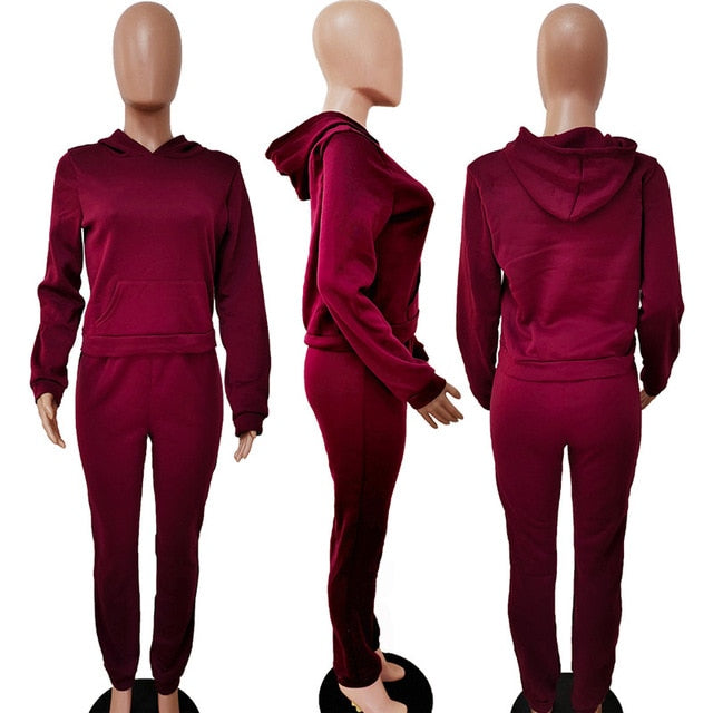 hirigin Sporty 2 Piece Set Hoodies and Sweatpants Fall Winter Clothes Women Two Piece Outfits Casual Tracksuits Sweatsuits